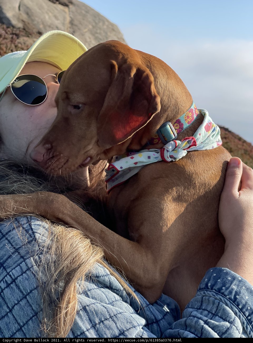 Woman and Weimaraner Enjoying a Sunny Day in Jenner