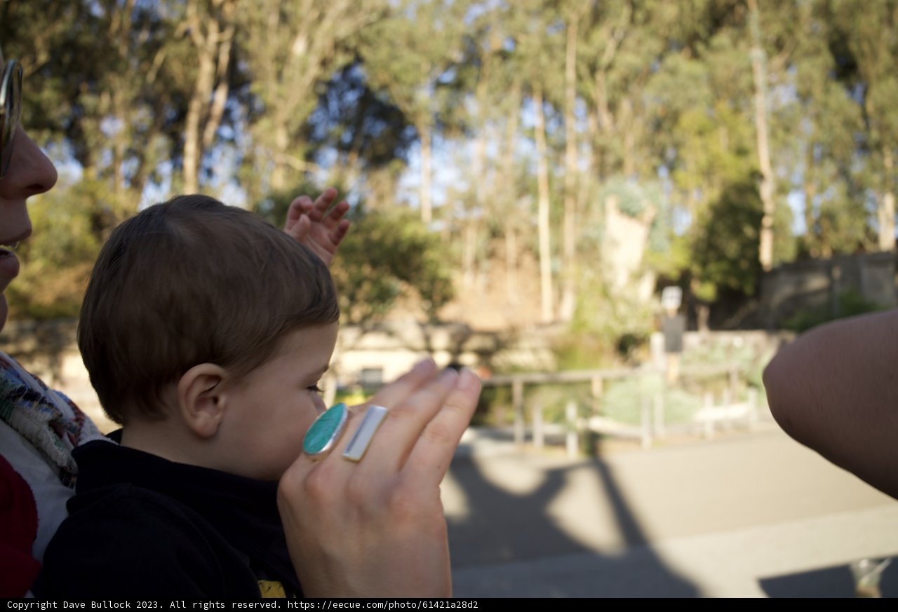 Embracing Life at the SF Zoo