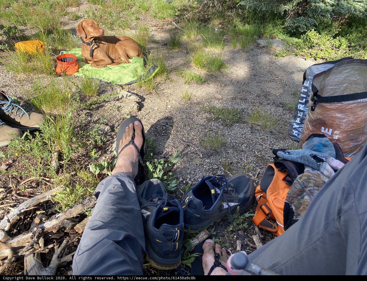 Feet in the Wild