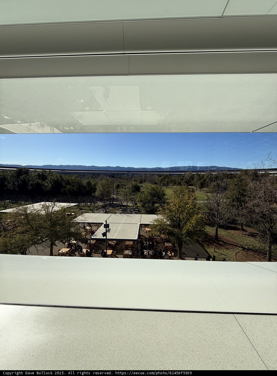 Tranquility at Apple Park