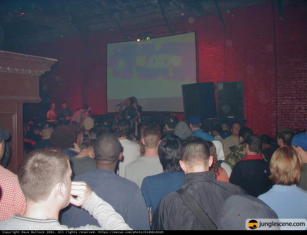 Nightclub Crowd Watching Music Video