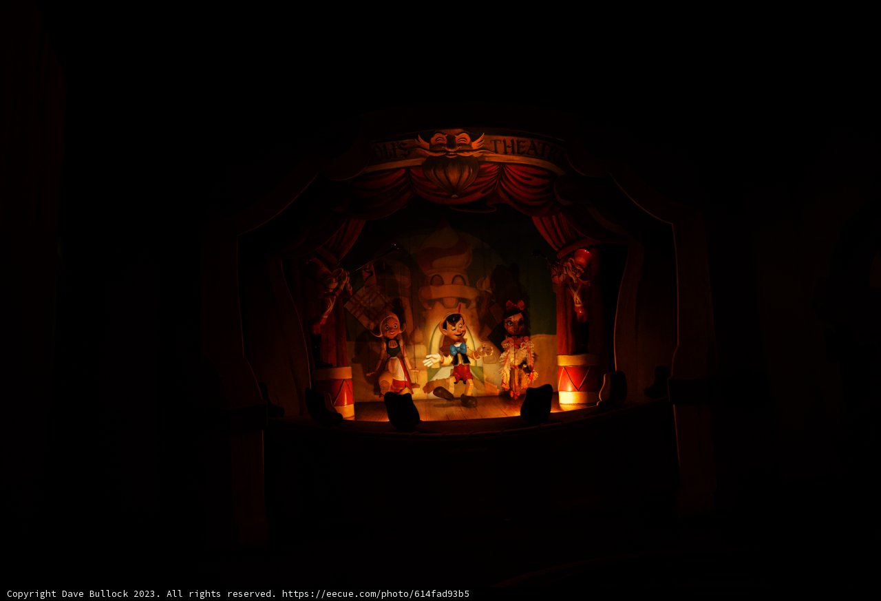 The Enigmatic Performance