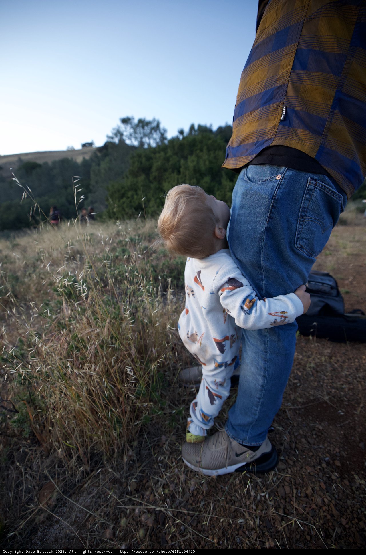 Toddler Hugs Parent's Leg at Mount Diablo
