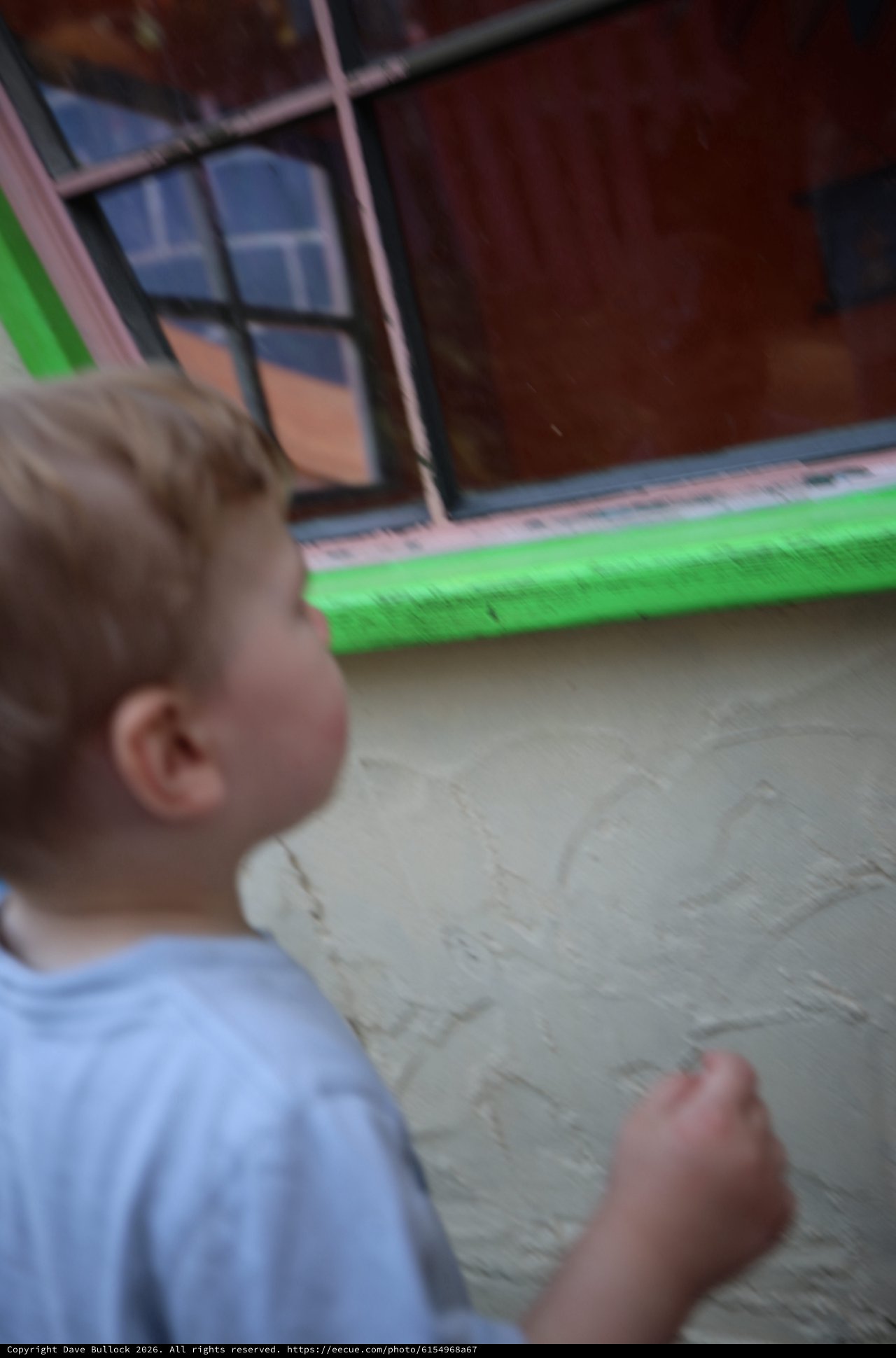 Young Child Gazing Through Glass Door at Fantasyland