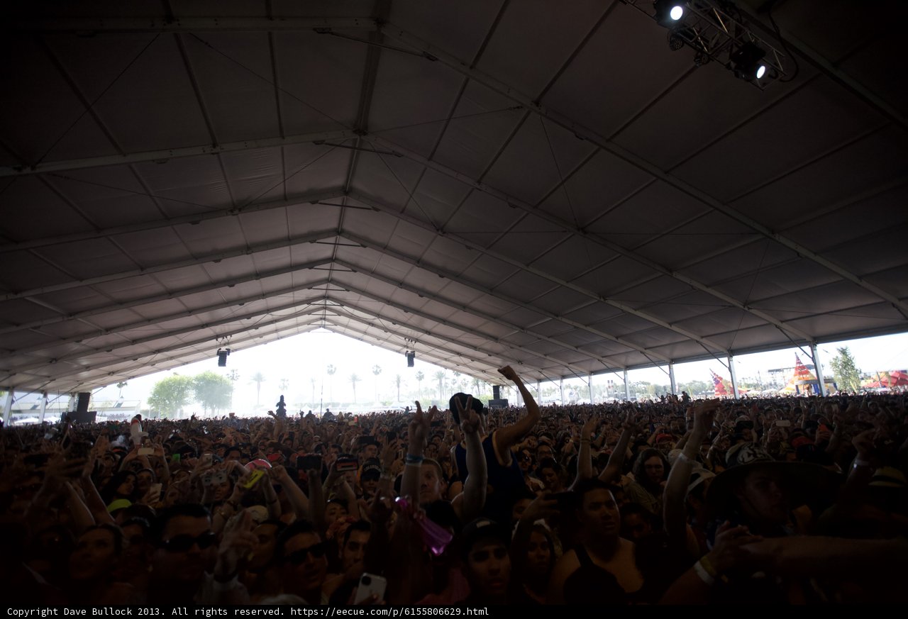 Concertgoers at Coachella Music Festival