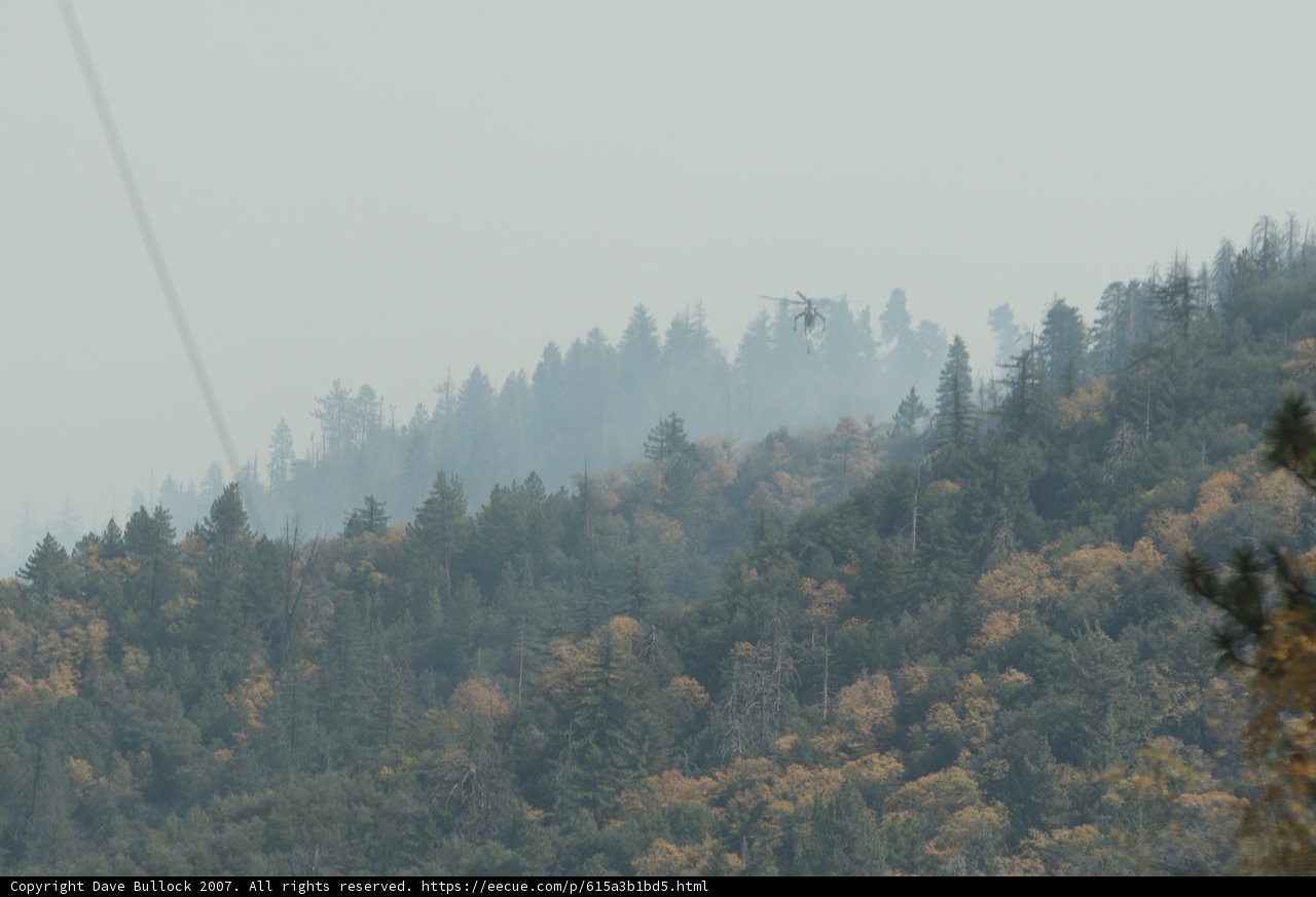 Aerial view of misty evergreen forest