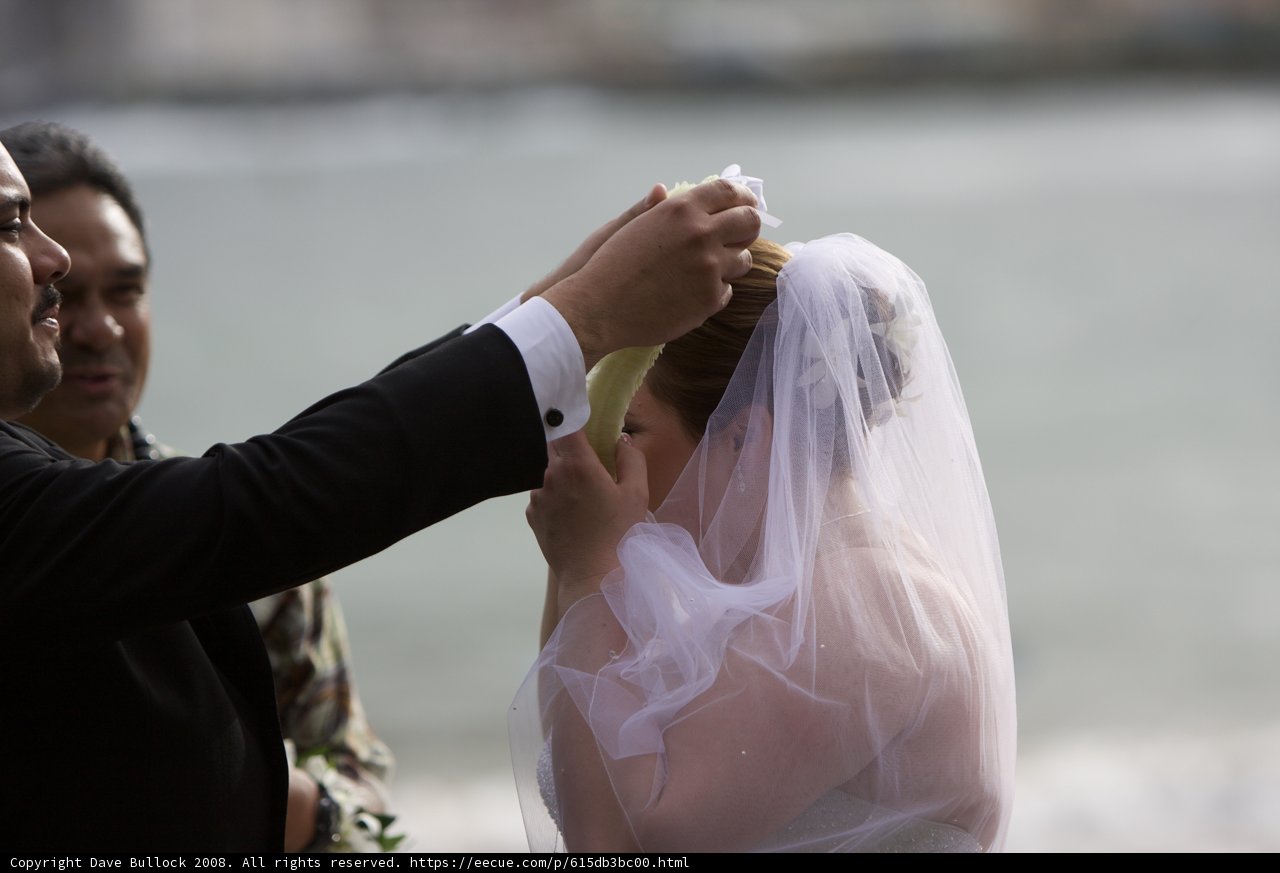 Exchanging Vows