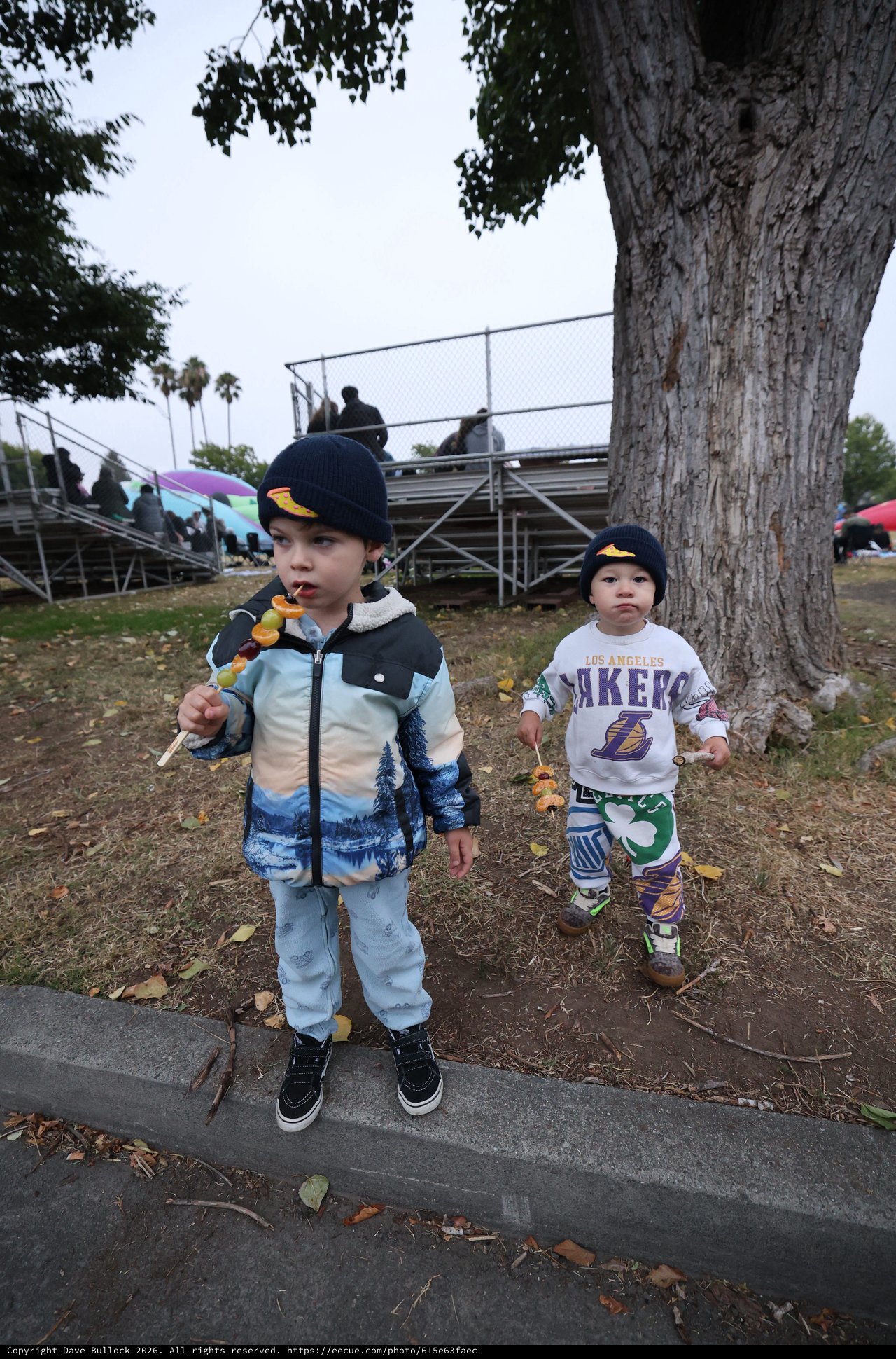 Two Young Boys Enjoying Candy Skewers at Balloon Festival