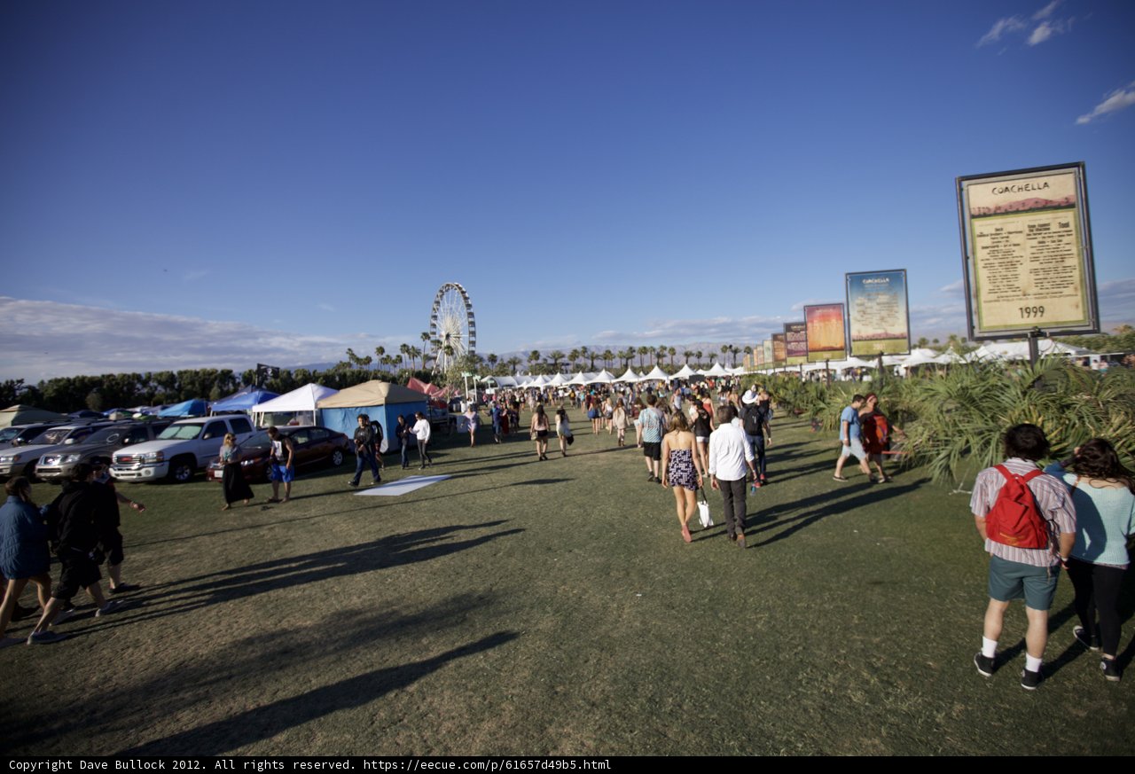 Ferris Wheel Fun at Coachella