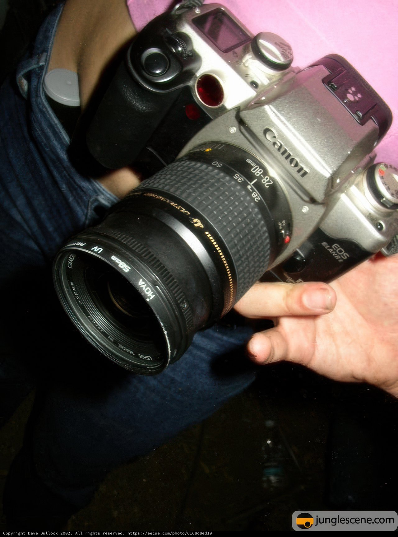 Capturing Summer Memories