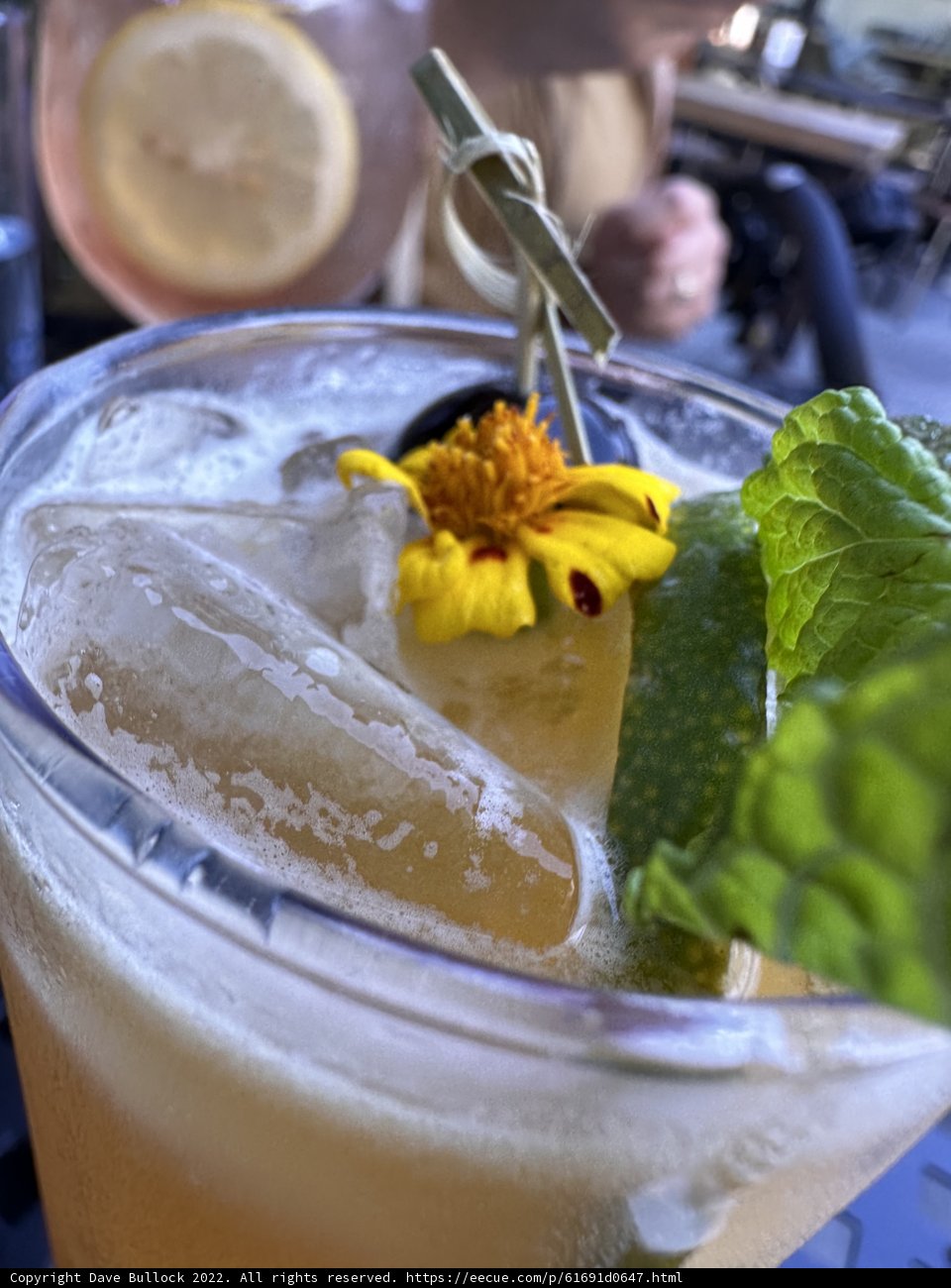 Herbal Cocktail with Lemon and Flower