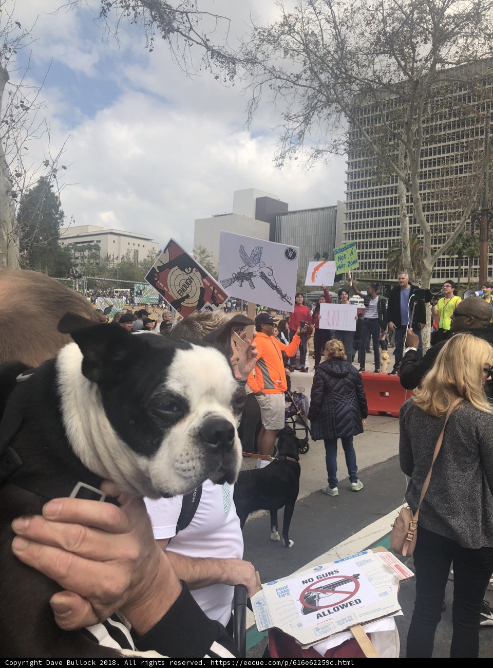 Man and Dog Stand Up for a Cause