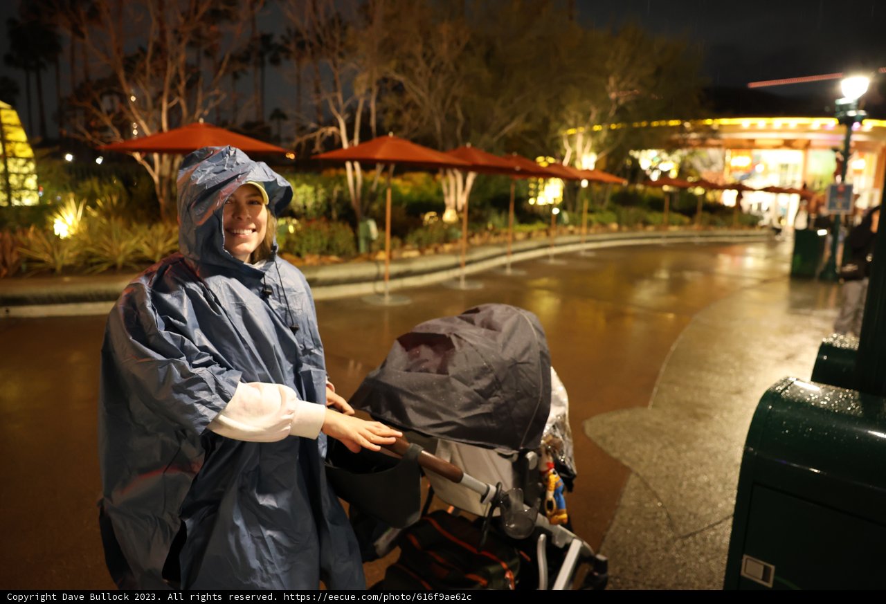 Rainy Day at Disneyland