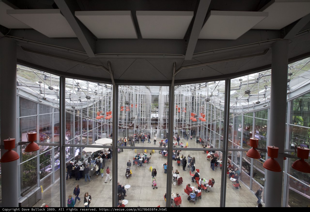 Inside the Busy Terminal's Architecture
