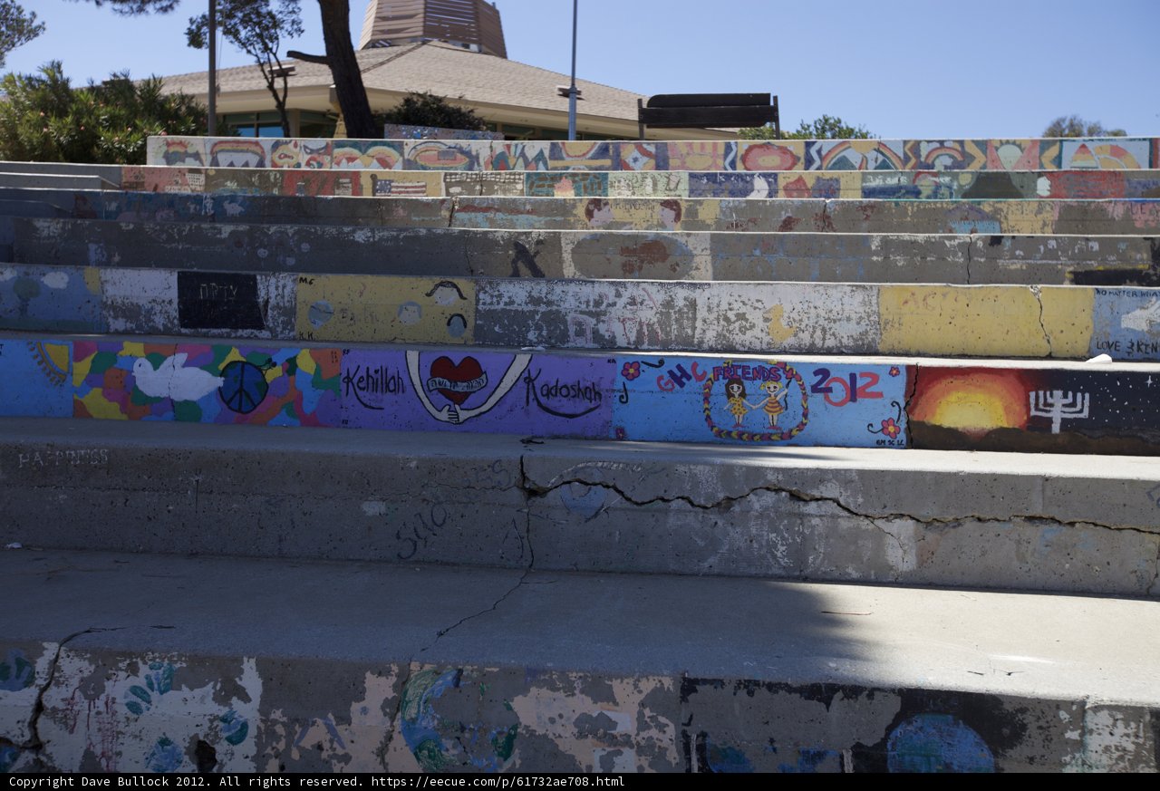Urban Art in the Wild