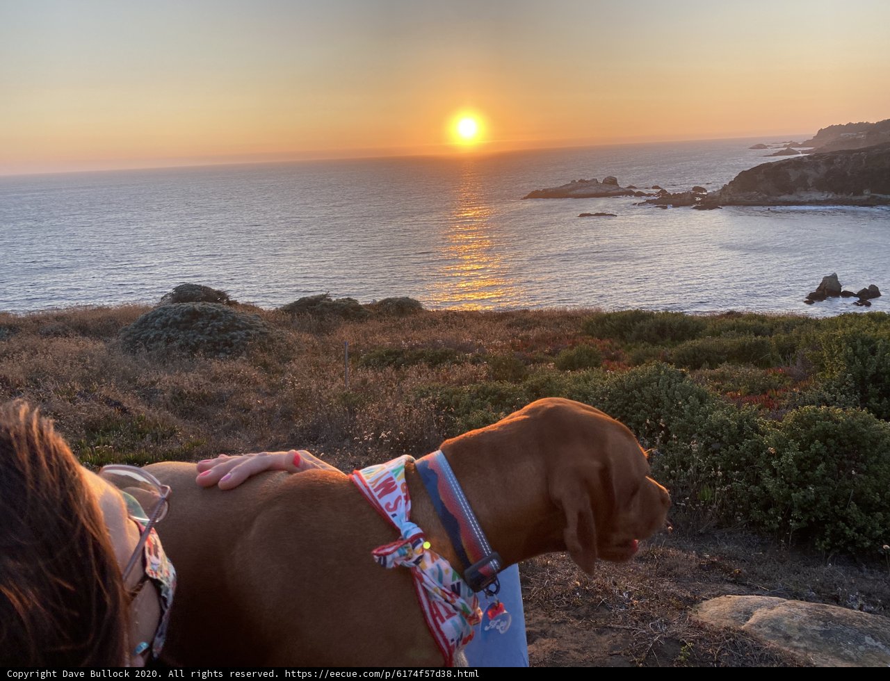 Overlooking the Ocean with My Best Friend