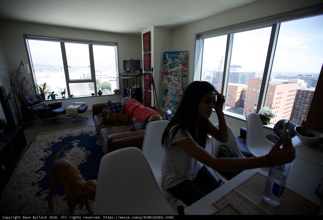 Cozy Afternoon with Furry Friends
