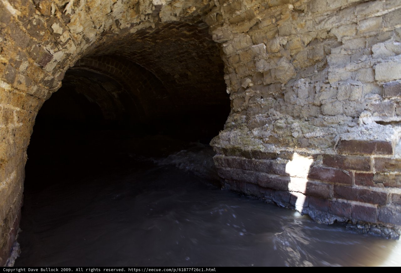 Cryptic Tunnel