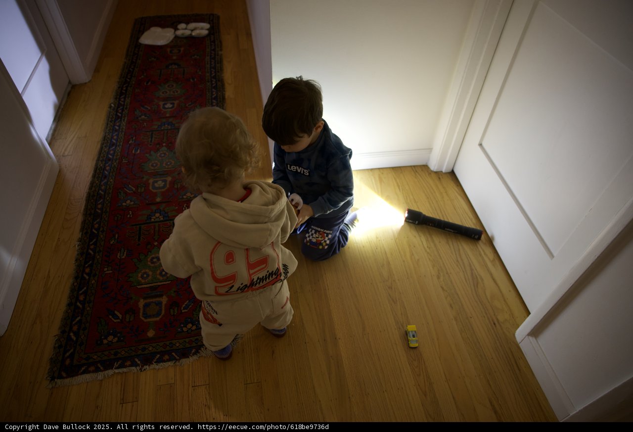 Playtime Adventures in Sunlight