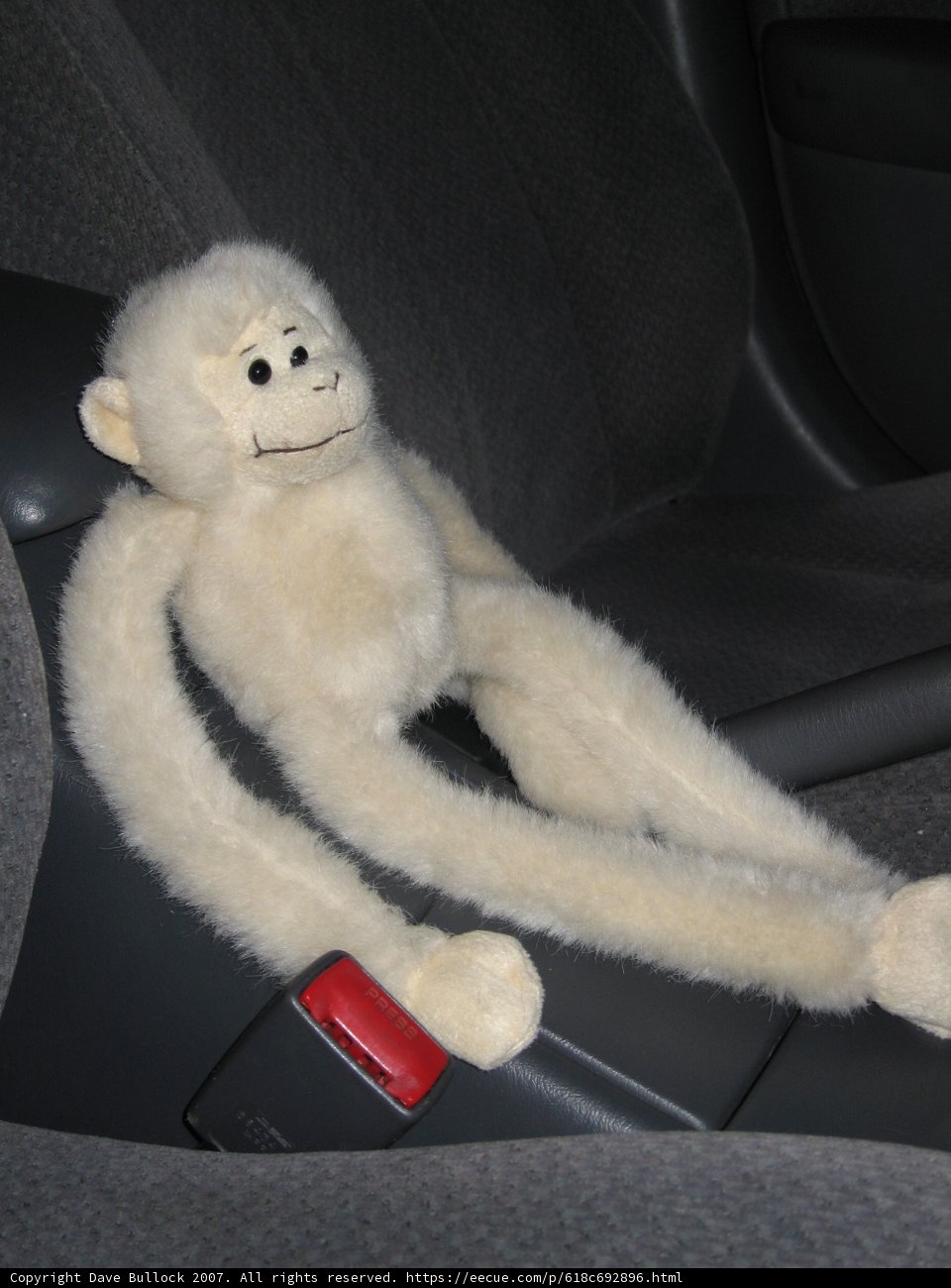 The Plush Passenger