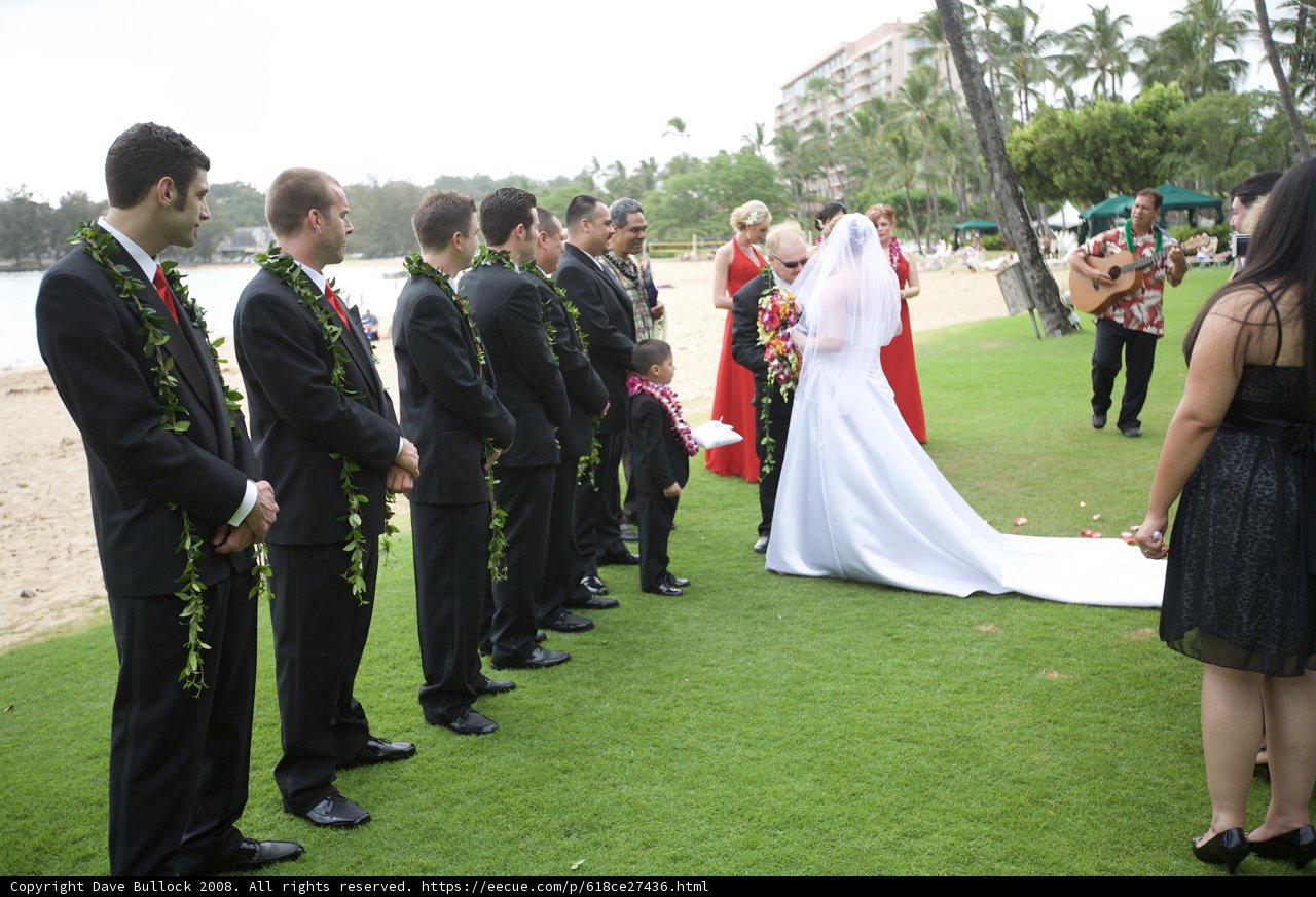 Garden Wedding Bliss