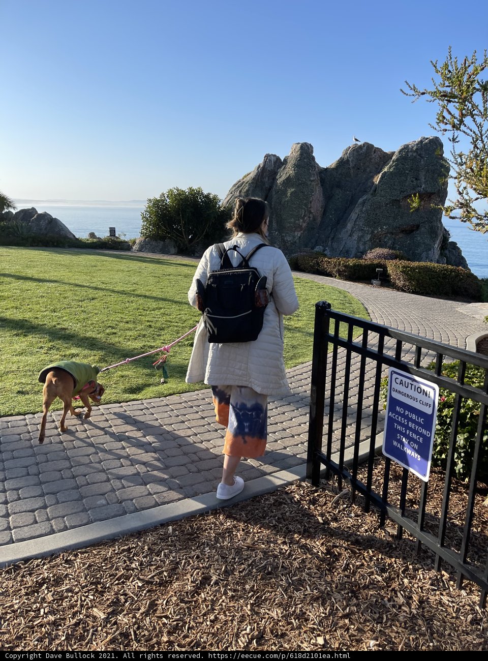 A Girl and Her Best Friend