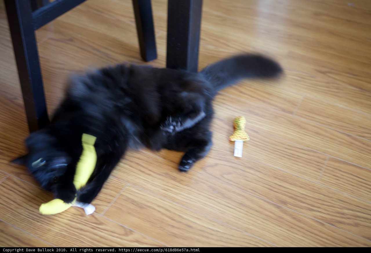 Banana Fun