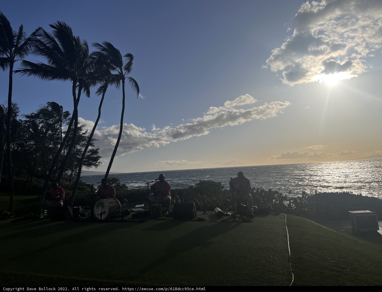Beachside Relaxation