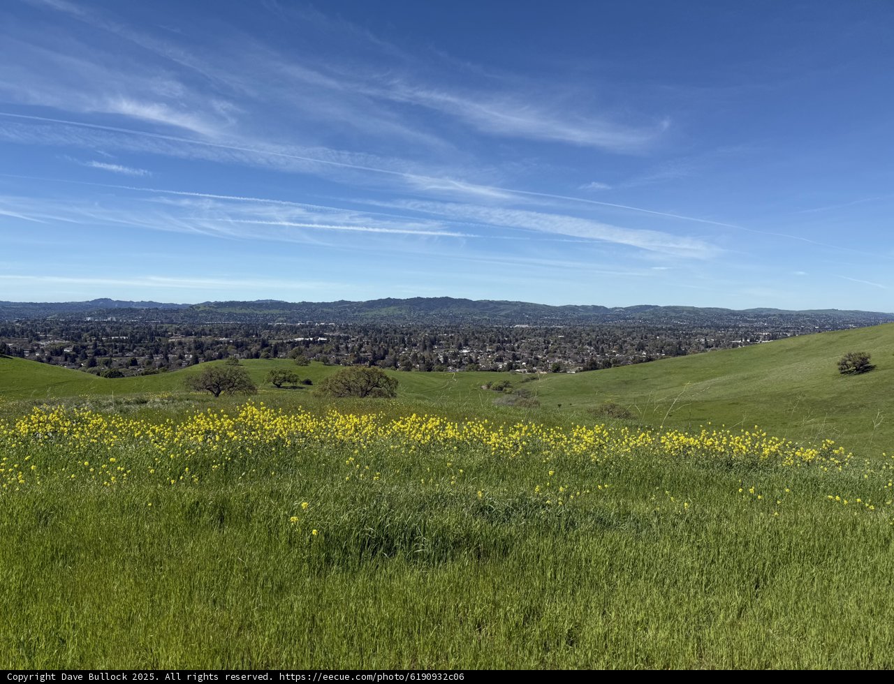 Spring Serenity in Concord
