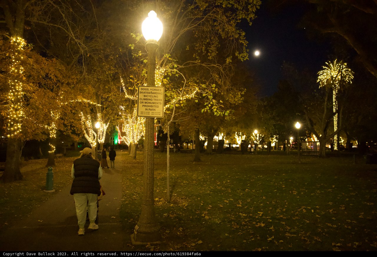 Luminary Pathway: An Illuminated Night in Downtown Sonoma