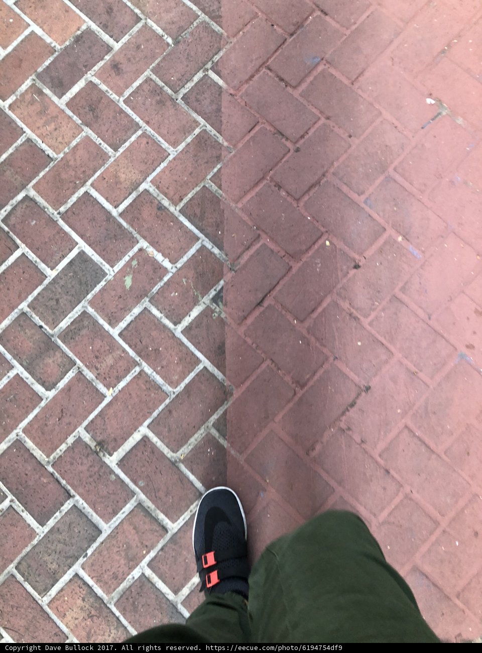Brick Sidewalk Sneaks