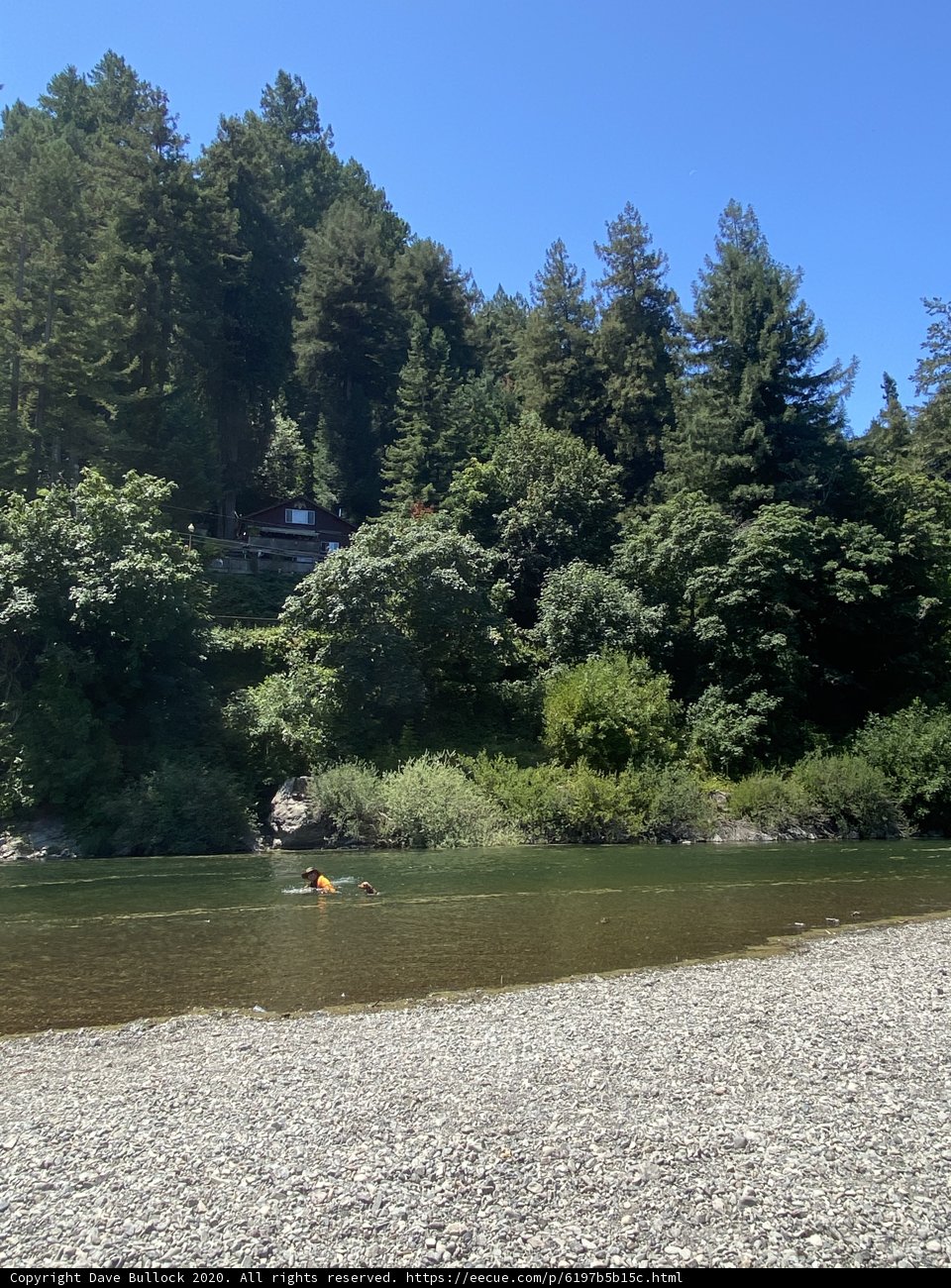 Kayaking through the Forest