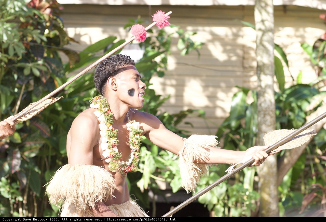 Traditional Dance amidst Lush Foliage