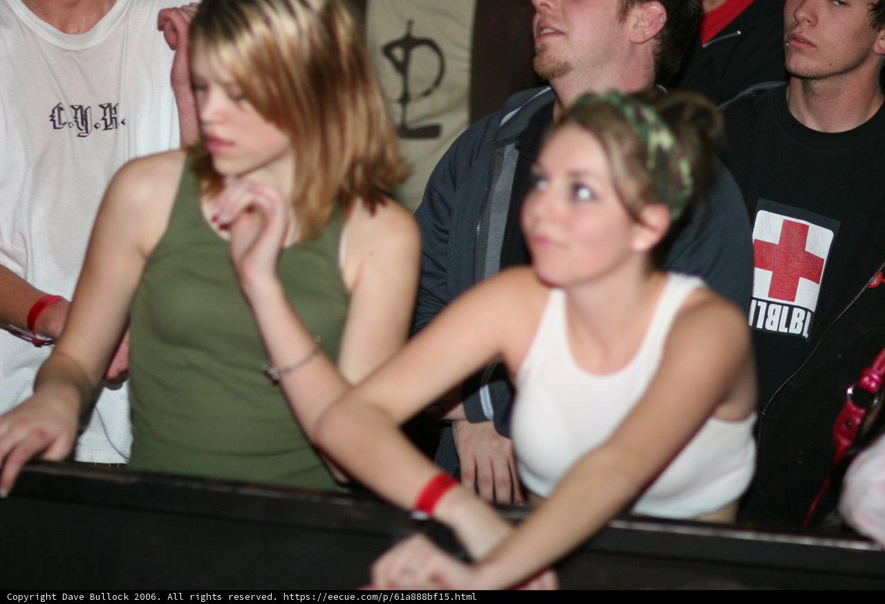 Group of Friends at Bass Rush Anniversary Party