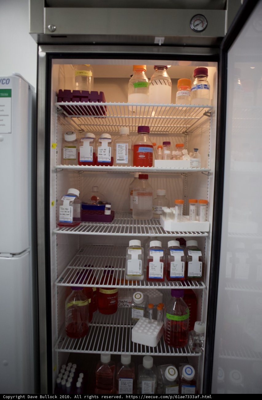 Fully Stocked Fridge