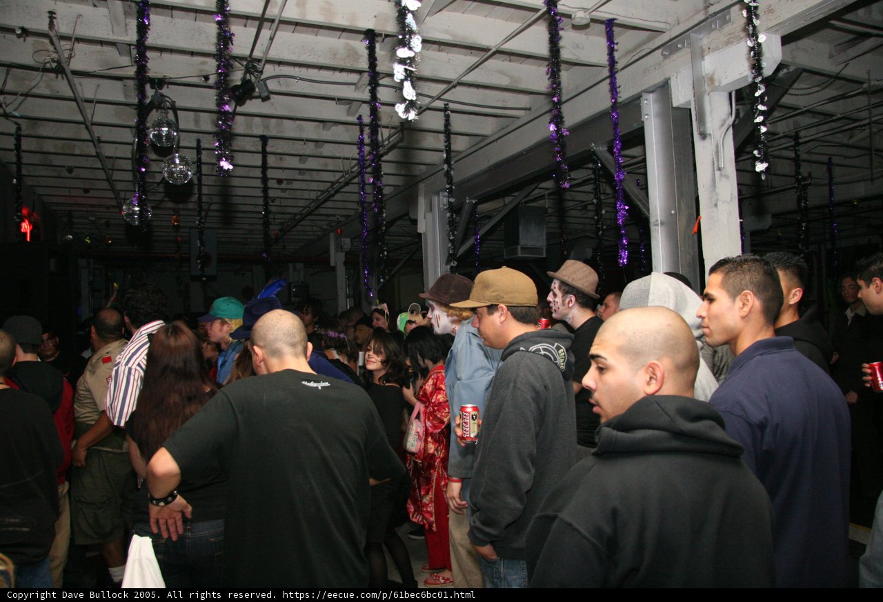 Nightclub Party with a Crowd of 24 People
