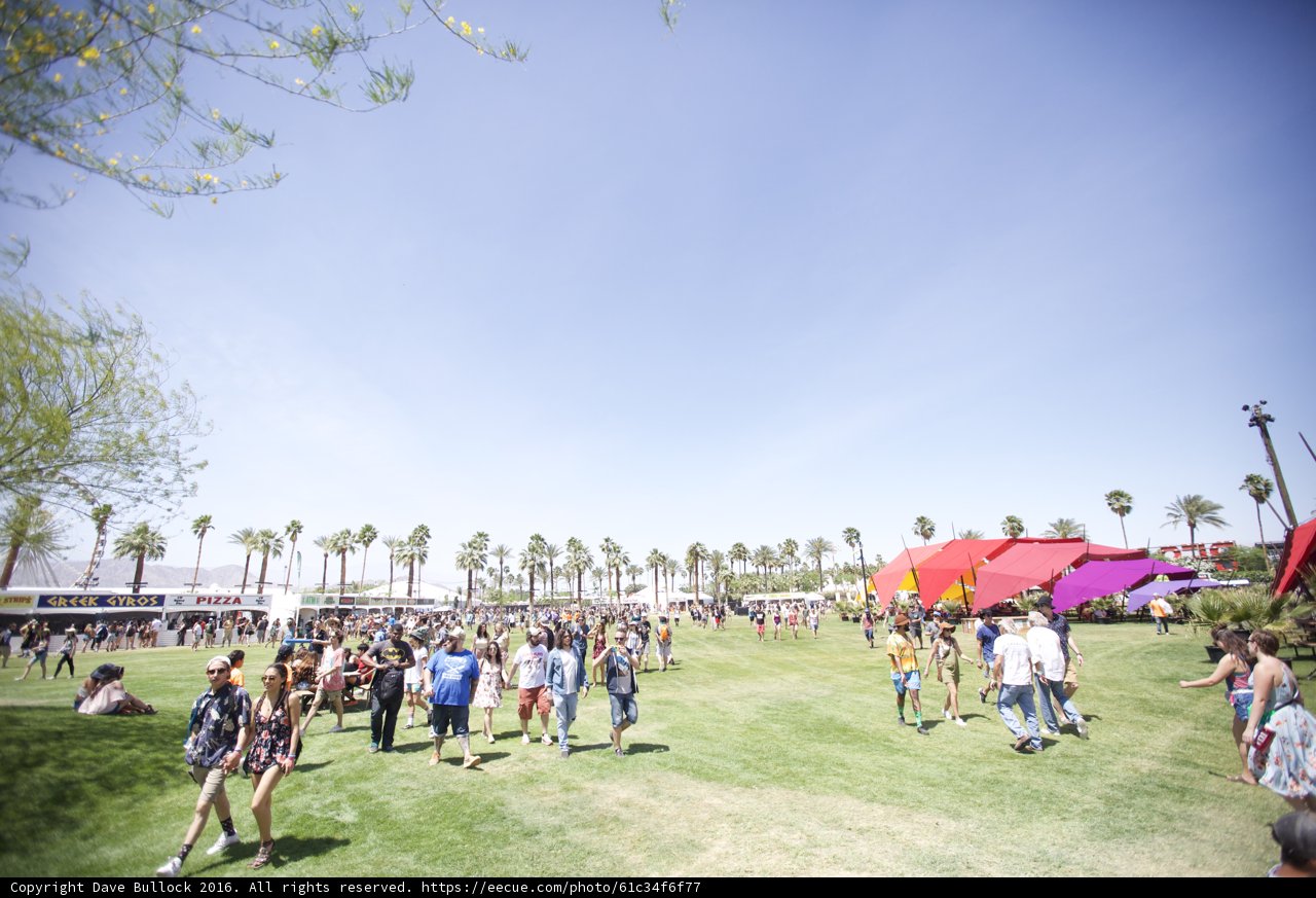 Festival-Goers Enjoying the Sunny Outdoors