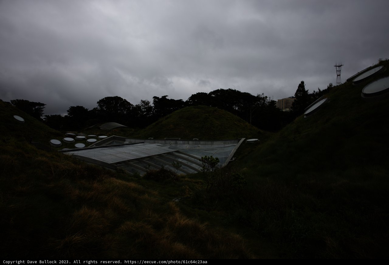 The Lush Green Roof of the New Zealand National Museum