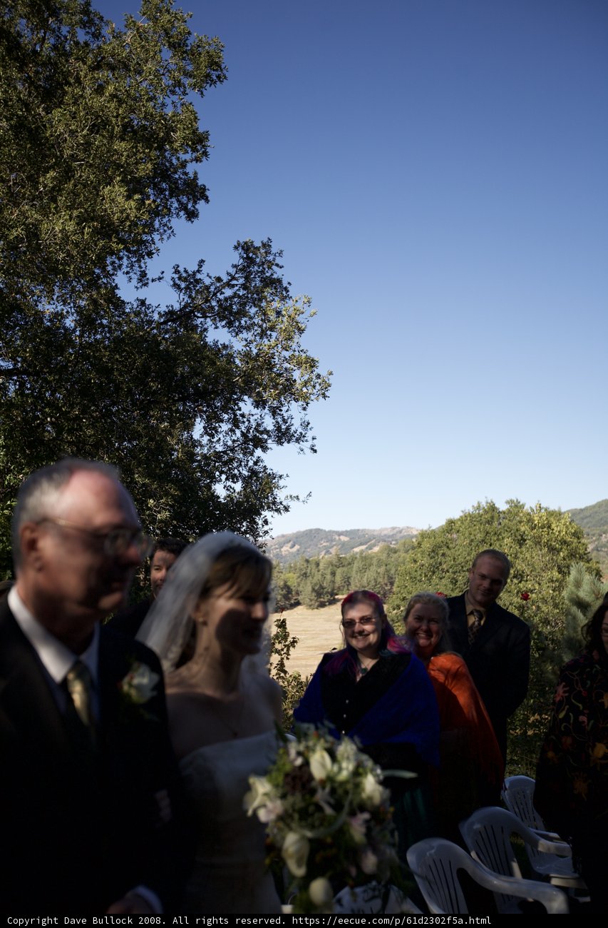 Outdoor Wedding Ceremony Amongst Nature