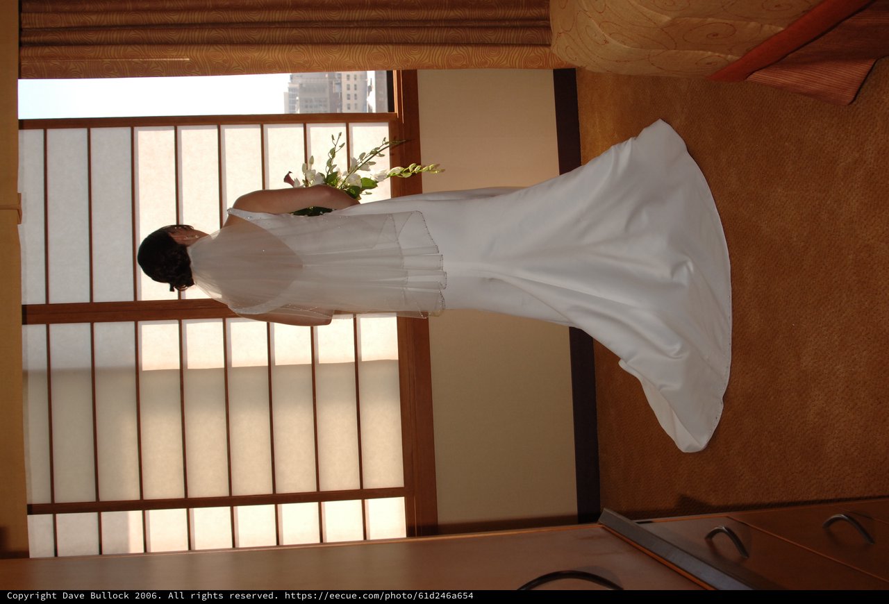 Bride Gazes Through Window Before Her Wedding