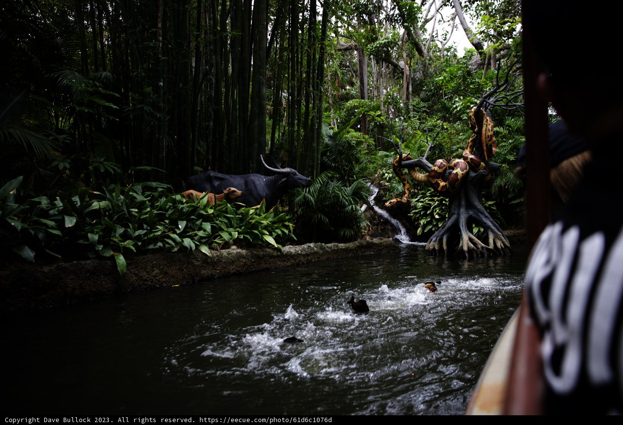 A Thrilling Adventure through the Jungle Waters