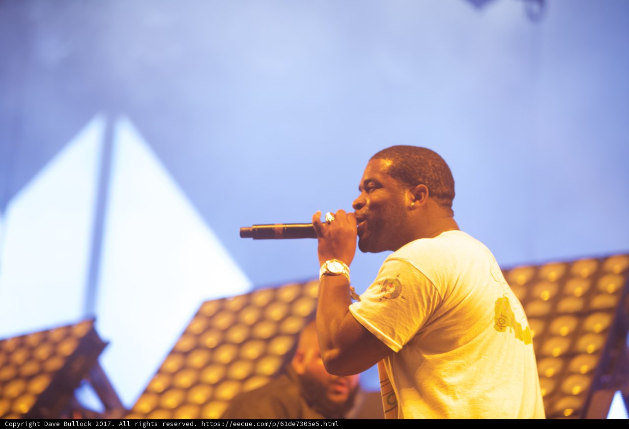 Solo Performance Under the Coachella Sunset