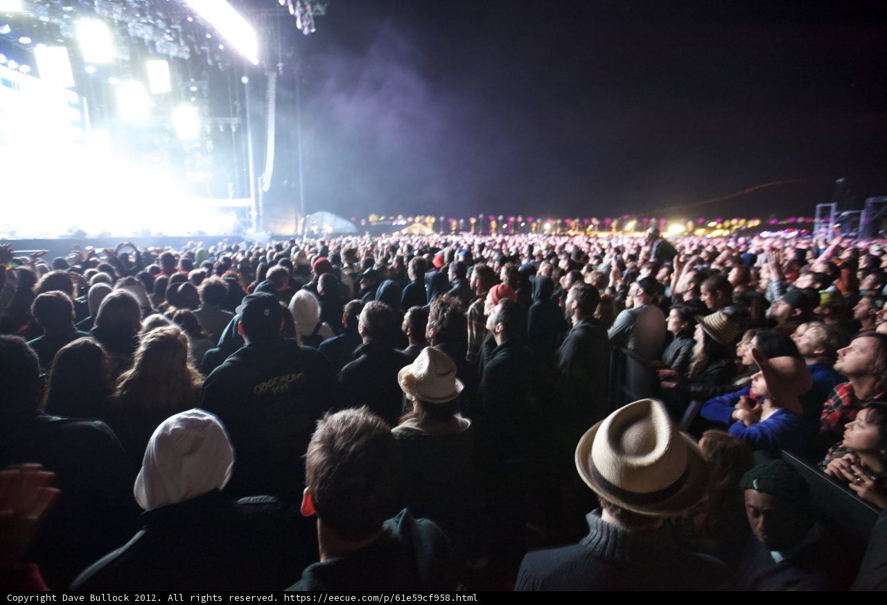 Rockin' with the Crowd