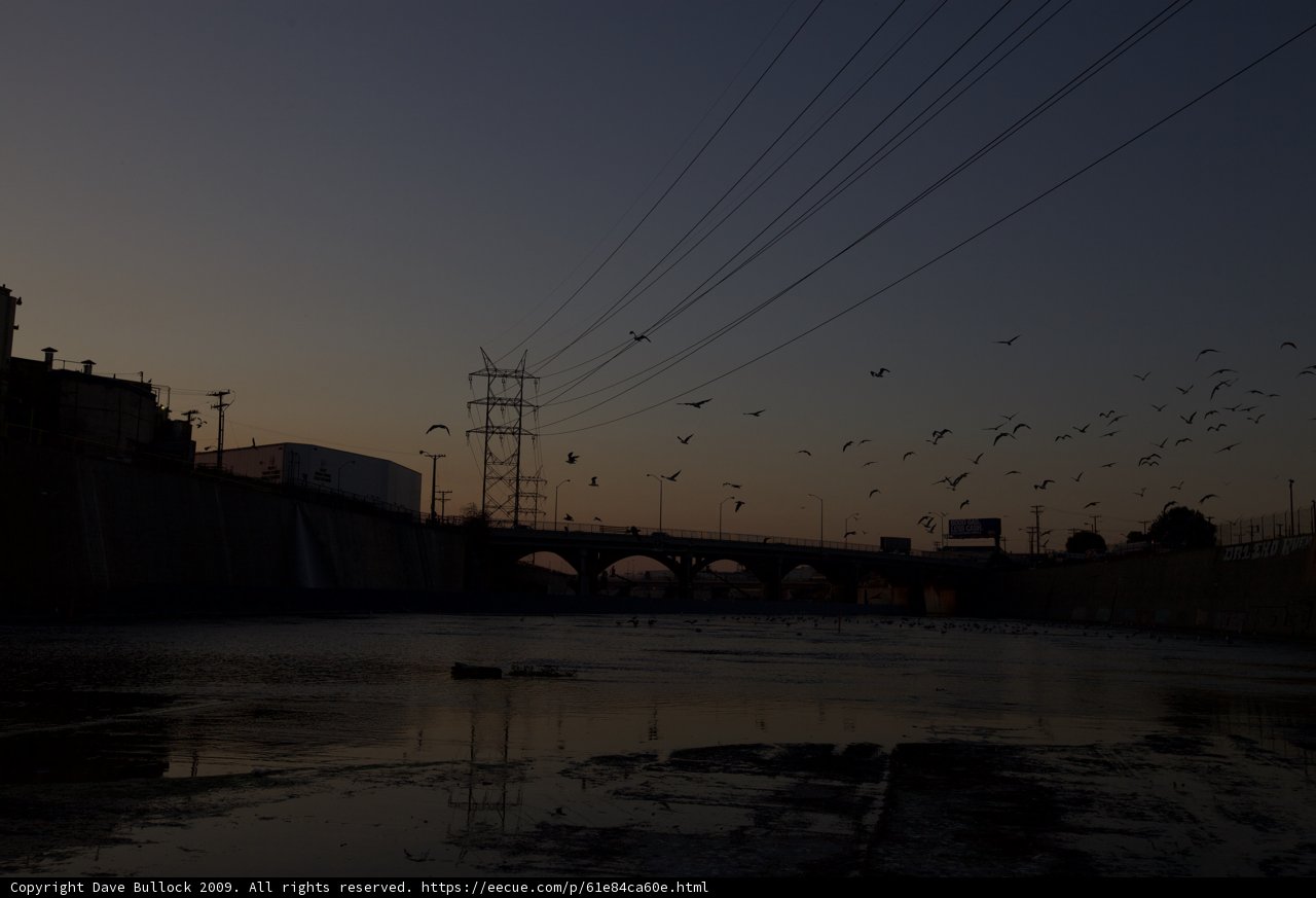 Sunset Flight
