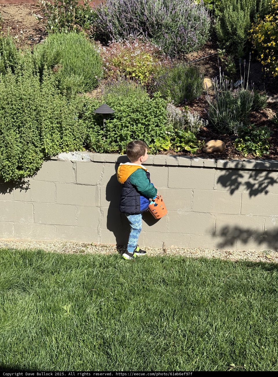 Springtime Adventures in the Garden