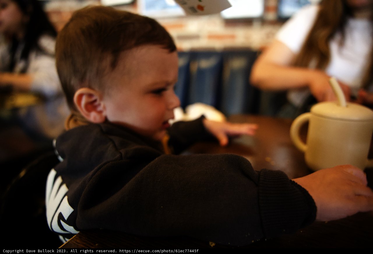 Little Coffee Lover at Disneyland