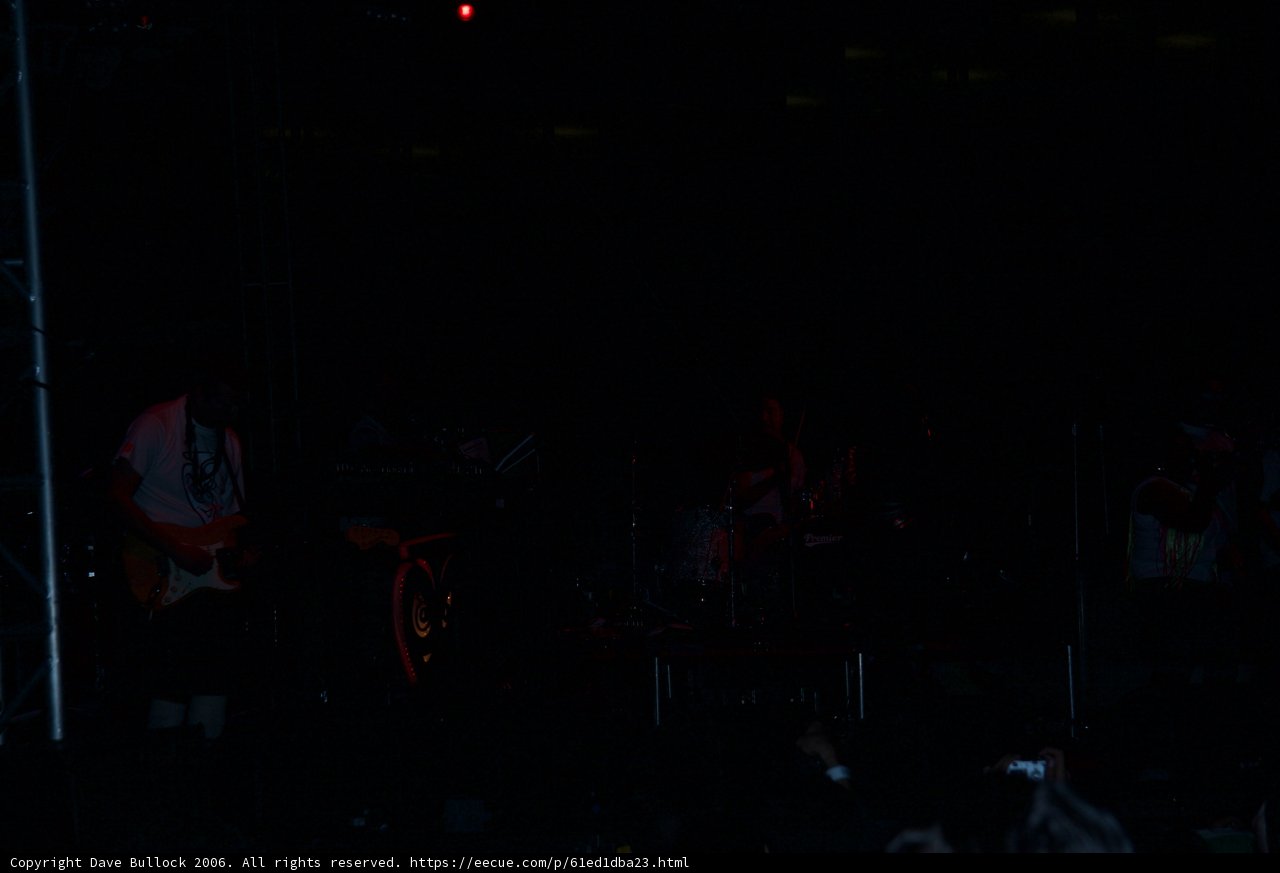 Nighttime Concert Performance