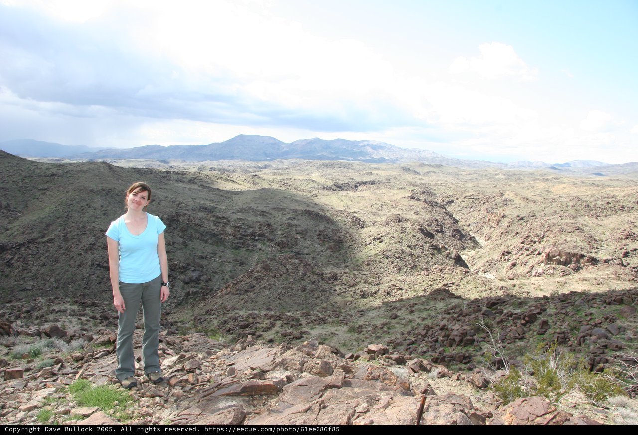 Woman Standing at Desert Ridge Overlook