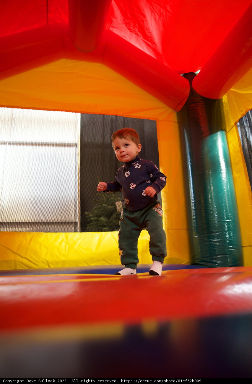 Wesley's Bouncy Castle Adventure