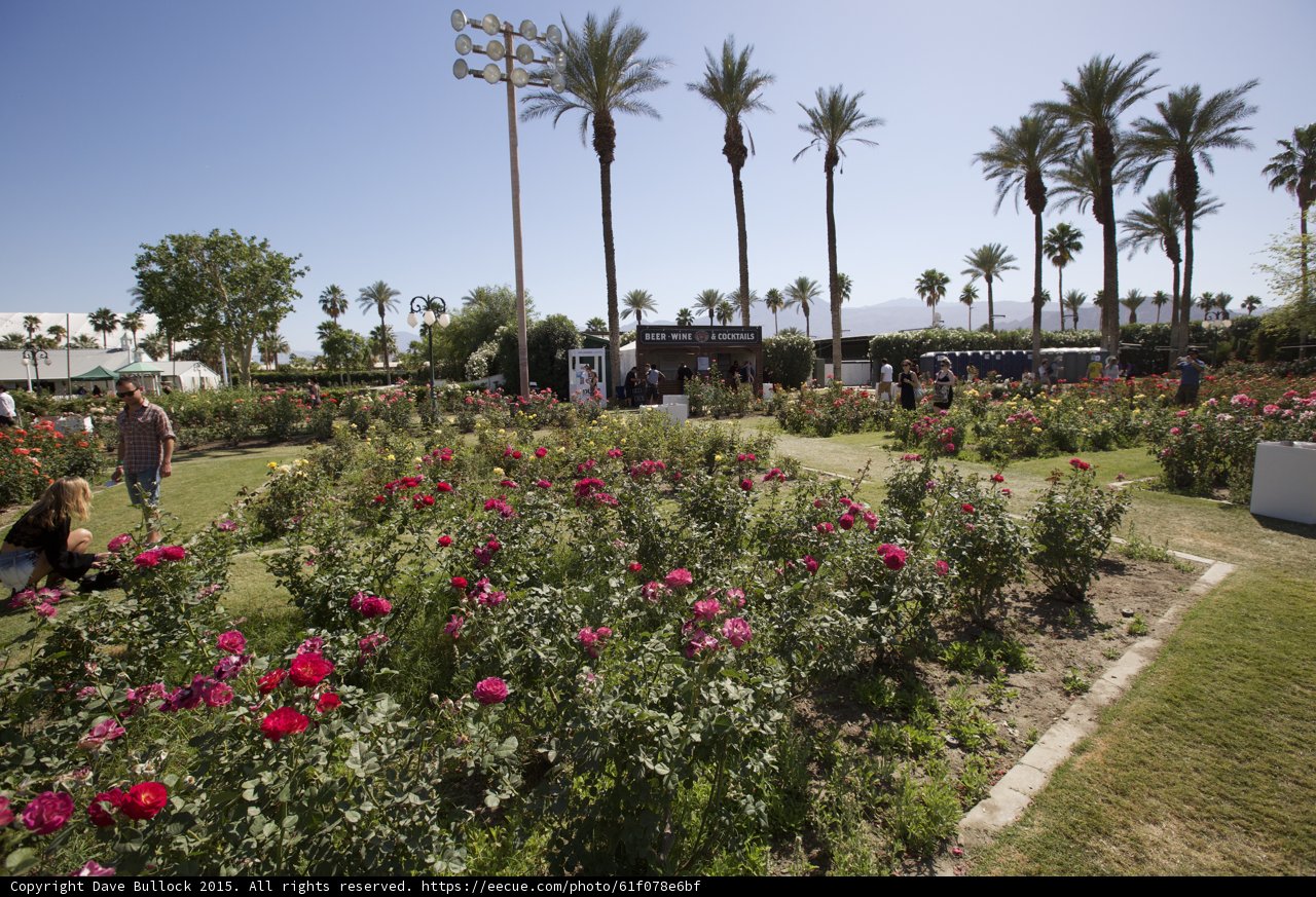 A Peaceful Stroll Through The Garden